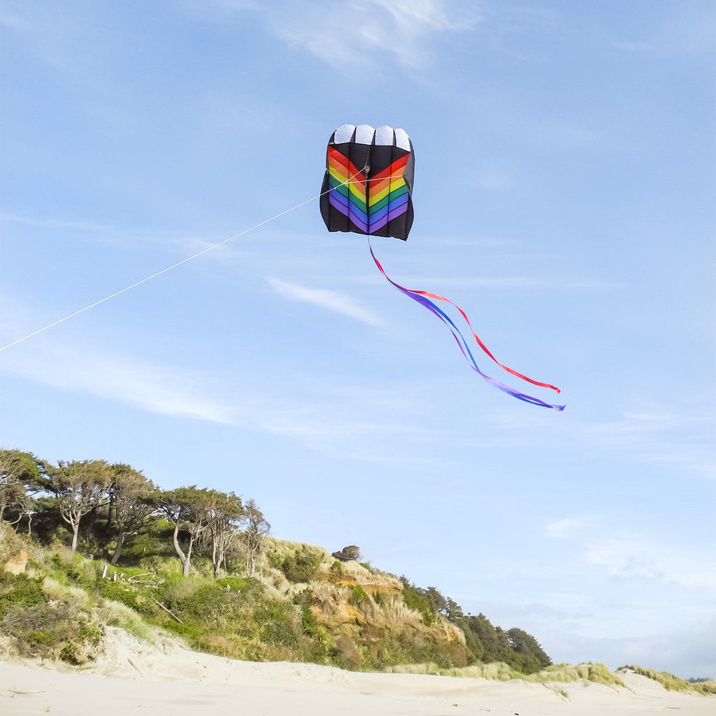Rainbow Air Foil Kite