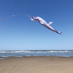 Surf City Kites Dolphin 48" Fish Windsock