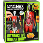 Be Amazing! Toys Interactive Human Body Fully Poseable Anatomy Figure – 14” Tall