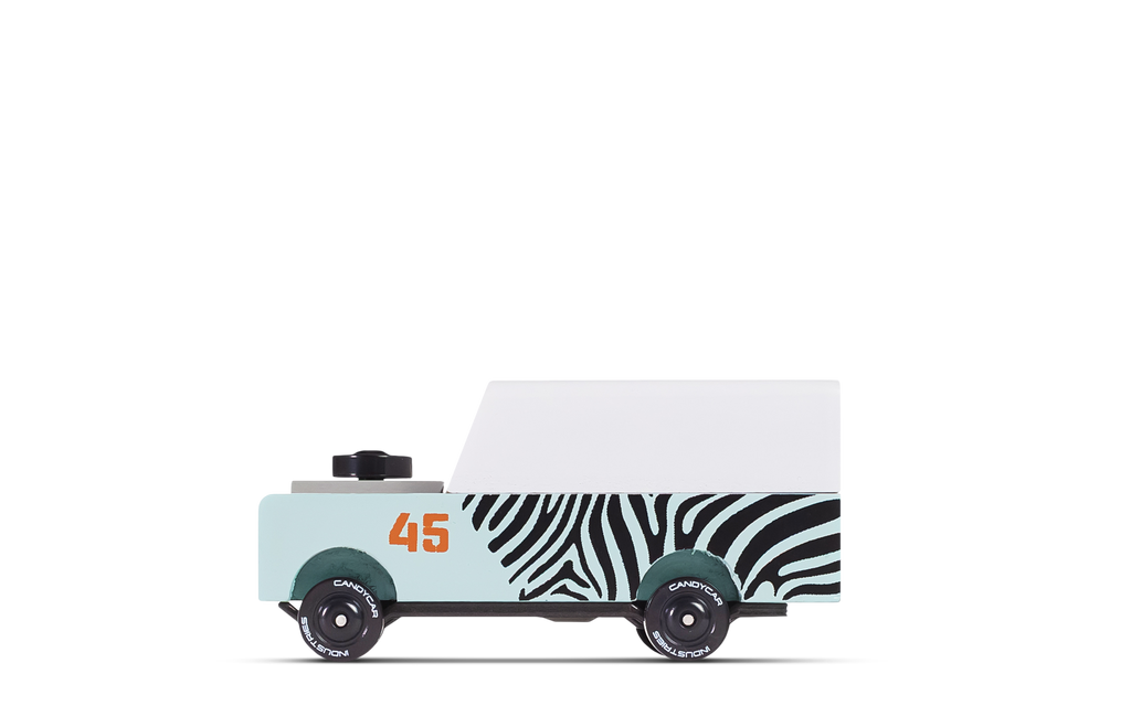 Mini Zebra Drifter