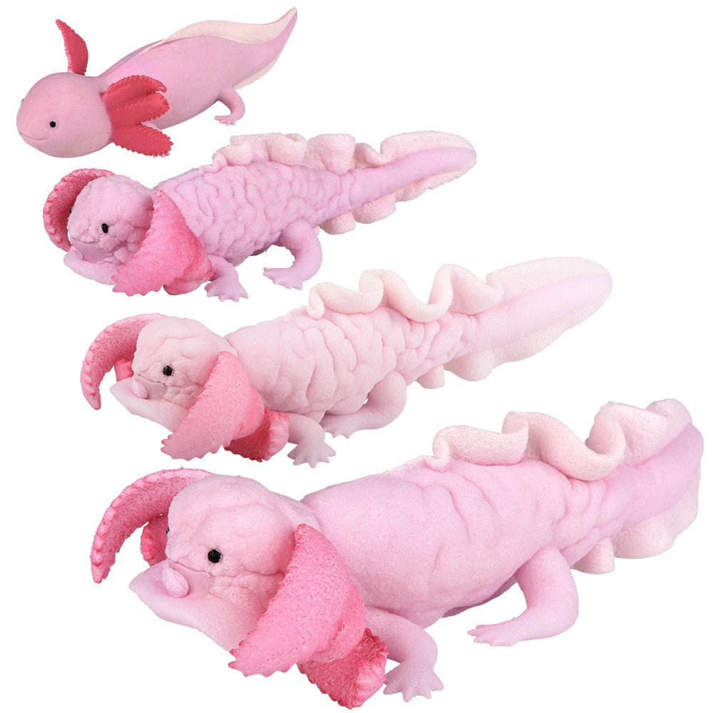 Growing Axolotl 6"