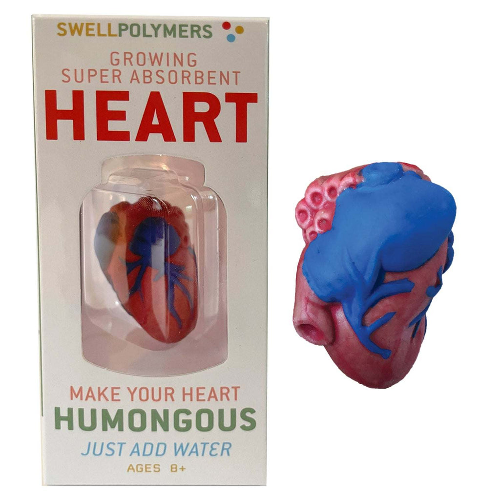 Growing Super Absorbent Heart | Grow a big heart | Just Add to Water