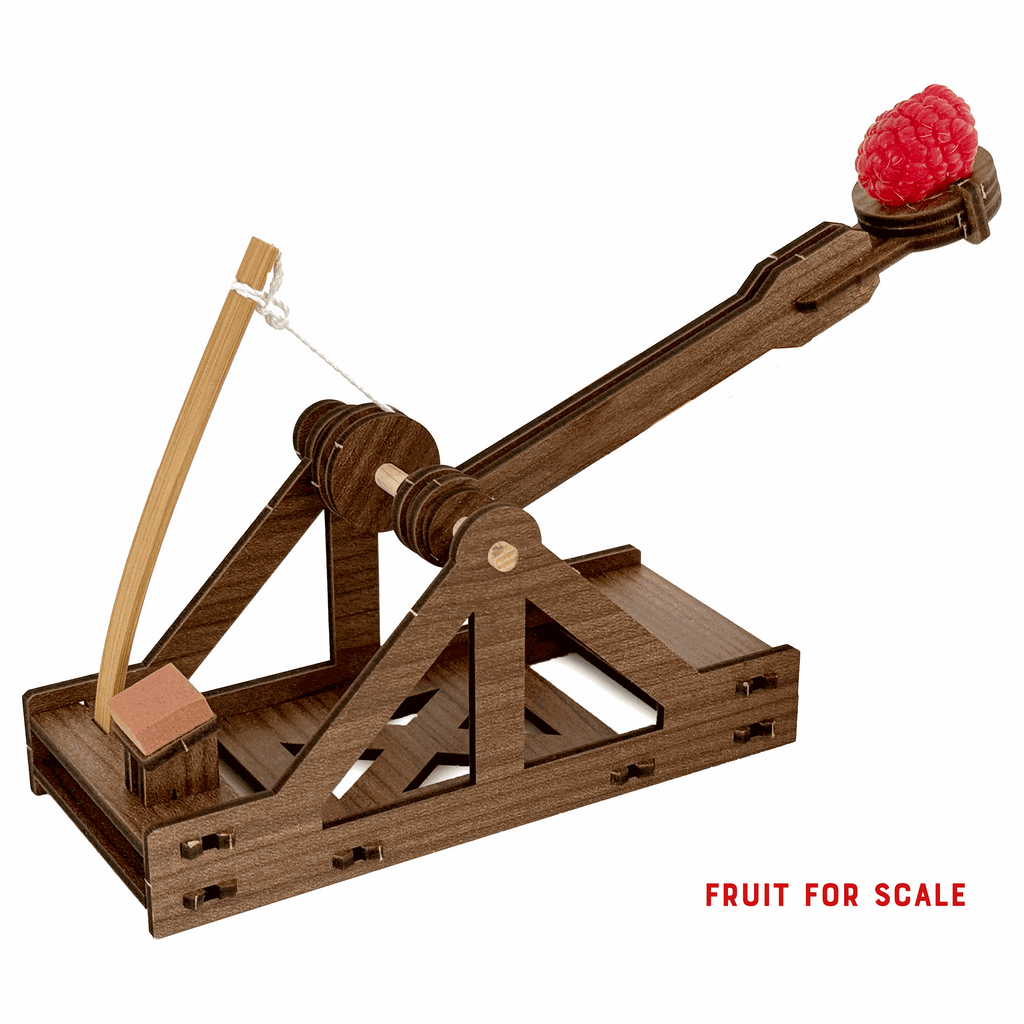 mini Catapult : Siege Engine Engineering Kit